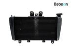 Radiateur Triumph Speed Triple 1050 2005-2007 (VIN, Motoren, Onderdelen | Overige, Verzenden, Gebruikt