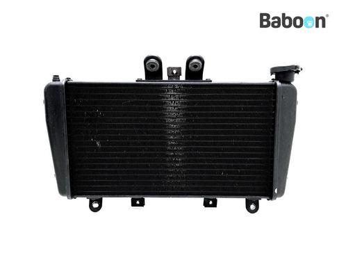 Radiateur Triumph Speed Triple 1050 2005-2007 (VIN, Motoren, Onderdelen | Overige, Gebruikt, Verzenden