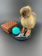 Canard Support de corps entier pour taxidermie - Anas