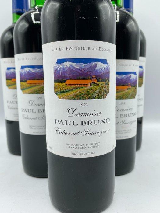 1993 Domaine Paul Bruno, Valle del Maipo - Maipo Valley - 6, Verzamelen, Wijnen