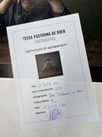 Tessa Posthuma de Boer - La table #4