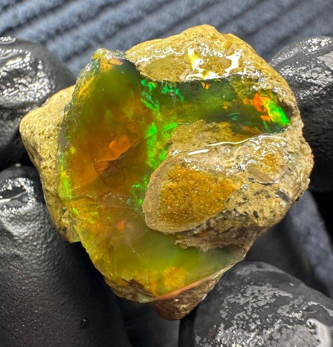 68ct Kristal Opaal Ruw- 13.6 g, Verzamelen, Mineralen en Fossielen