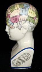 Hoofd ornament - Groot model Phrenology Hoofd, Antiek en Kunst, Curiosa en Brocante