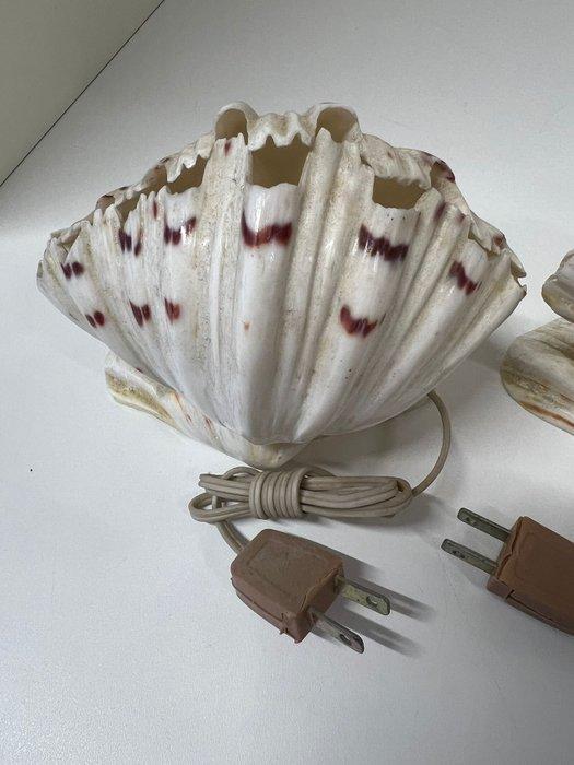 Lamp (2) - Schelp - paar schelplampen, Antiek en Kunst, Curiosa en Brocante
