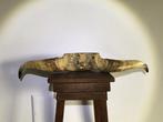 Koe Taxidermie hoofdmontage - Bos Taurus - 10 cm - 80 cm -