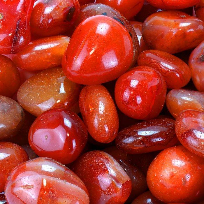 Laatste partijen - Hoge kwaliteit - Carneool - Getrommelde, Collections, Minéraux & Fossiles