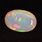 1 pcs Wit, Meerkleurig Opaal - 16.08 ct - Asian Institute of, Nieuw