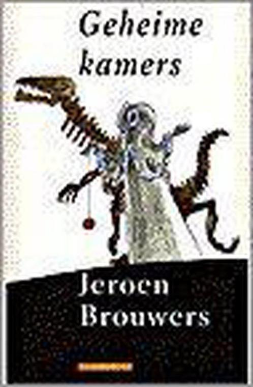 Geheime kamers 9789045002033 Jeroen Brouwers, Boeken, Romans, Gelezen, Verzenden