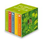Een doosje vol bijbelverhalen 9789026611674, Boeken, Verzenden, Gelezen, Elisabeth de Lambilly