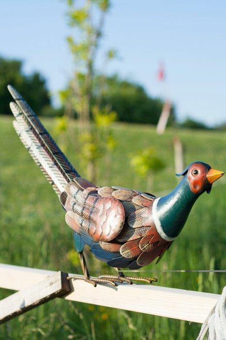 Pheasant - Beeldje - Staal, Antiek en Kunst, Curiosa en Brocante