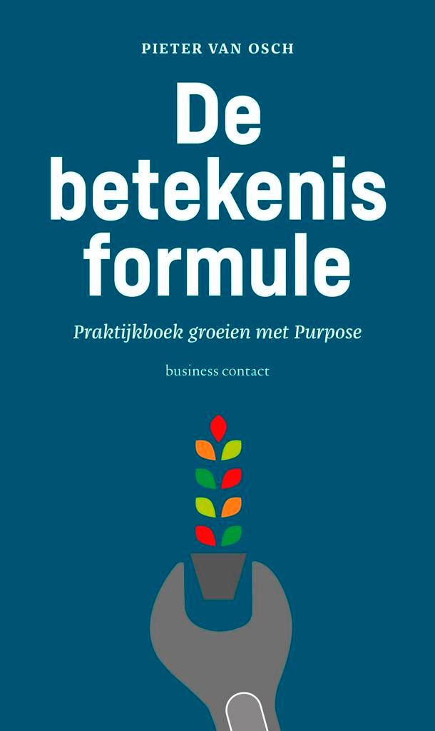 De betekenisformule 9789047012078 Pieter van Osch, Boeken, Economie, Management en Marketing, Zo goed als nieuw, Verzenden