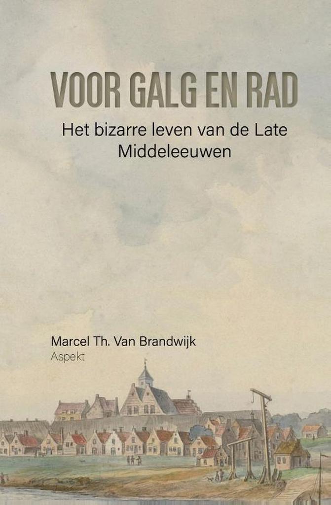 Voor galg en rad 9789464241198 M.Th. van Brandwijk, Boeken, Historische romans, Zo goed als nieuw, Verzenden
