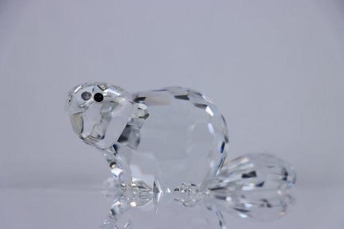 Swarovski - Figure - Swarovski - Bever groot (Boxed) -, Antiek en Kunst, Curiosa en Brocante