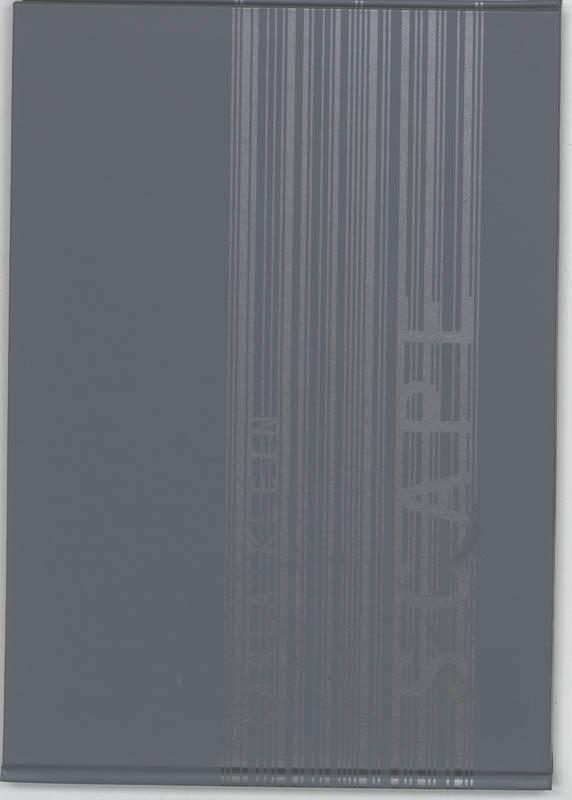 Carla Klein scape 9789085460565 C. Klein, Boeken, Kunst en Cultuur | Beeldend, Gelezen, Verzenden