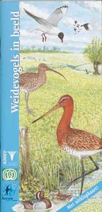 Weidevogels in beeld / In beeld / 1 9789050111898, Verzenden, J. van Gelderen