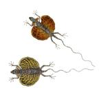 Set van (2) Draco Vliegende Hagedissen Taxidermie volledige, Nieuw