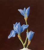 Ruud Verkerk - Chinese vaas met blauwe Iris.
