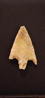 Néolithique silex Tête de flèche - 250 mm (Sans prix de