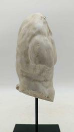 Sculpture, Torso Gaddi - 36 cm - poudre de marbre, Antiek en Kunst