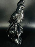 Zwarte Obsidiaan Papegaai – Trots gekruld met gouden