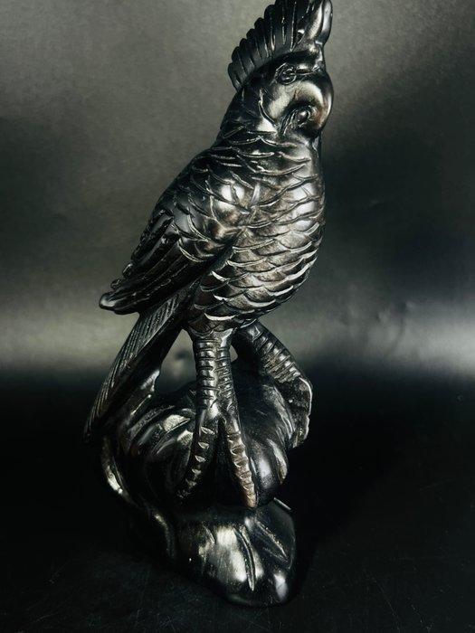 Zwarte Obsidiaan Papegaai – Trots gekruld met gouden, Verzamelen, Mineralen en Fossielen