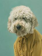 Ursula van de Bunte - Sammy No2