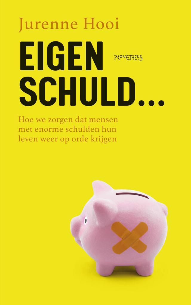 Eigen schuld… (9789044651904, Jurenne Hooi), Livres, Loisirs & Temps libre, Envoi
