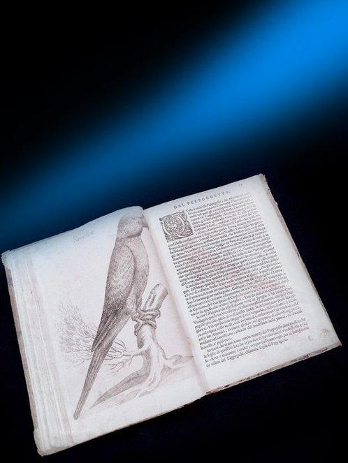 Giovanni Pietro Olina / Antonio Tempesta - Uccelliera, overo, Antiek en Kunst, Antiek | Boeken en Manuscripten