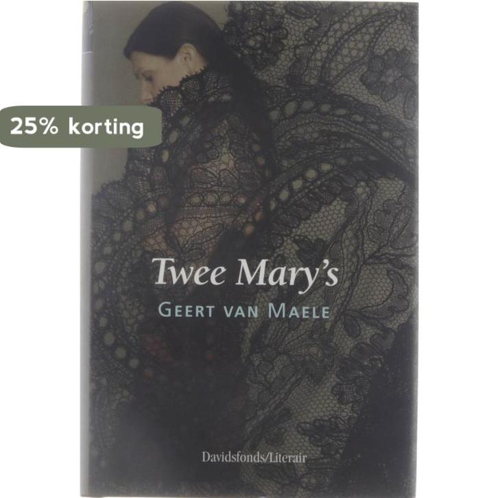 Twee Marys / Davidsfonds/Literair 9789063064808, Boeken, Romans, Gelezen, Verzenden
