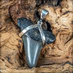 Collier naturel de fossile de dent de requin fabriqué à