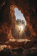 Lea Ottavi - Sunrooted Solitude XXL