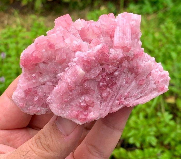 Verzamelaar keuze toermalijnkristallen schedel cluster mooie, Verzamelen, Mineralen en Fossielen