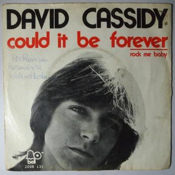 David Cassidy - Could it be forever - Single, Pop, Single