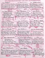 Nieuwjaarswensen van De Notenkraker op spotprent (Lithos), Antiek en Kunst, Verzenden