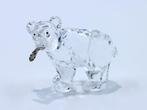Swarovski - Figuur - Swarovski - Beer met Vis (Boxed +