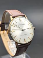 Seiko - Seiko Liner 23J SD Dial Ultra Thin 9mm Gold-plated