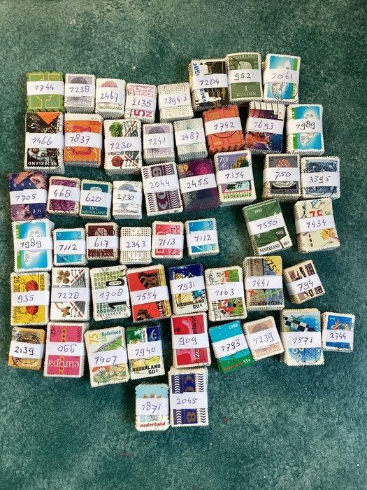 Nederland 1921/2022 - Nederlandse postzegels in bundels van, Timbres & Monnaies, Timbres | Pays-Bas
