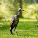 Sculpture, Ibis - 600 mm - Métal