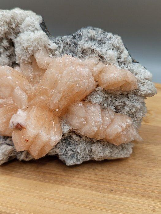 PEZZO UNICO Stilbite (District Jalgaon, India), Verzamelen, Mineralen en Fossielen