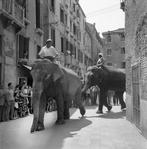 Camerapohoto Epoche/©Vittorio Pavan - Circo Togni-Campo