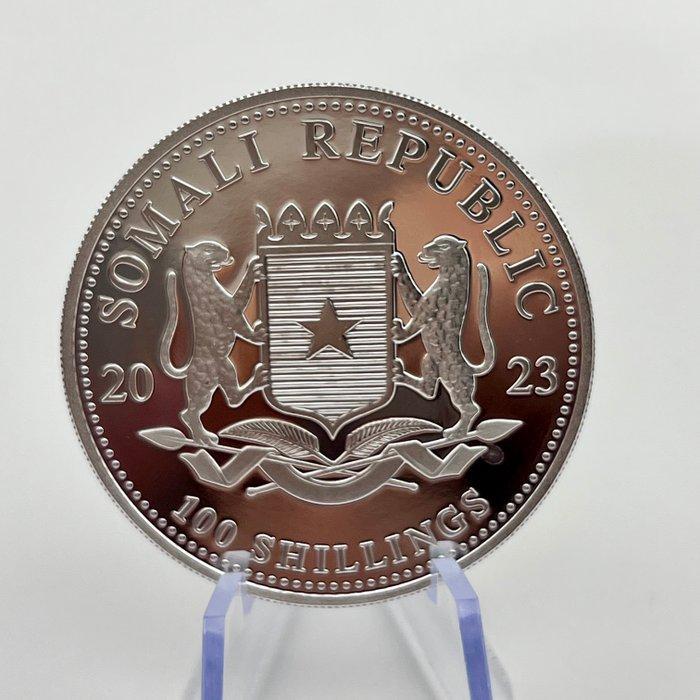 Global. 2023–2025 – Set of 3 × 1 oz Silver Coins – Congo, Postzegels en Munten, Munten | Europa | Niet-Euromunten