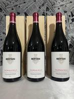 2021 Bertani  “ Valpolicella Valpantena “ - Veneto DOC - 3