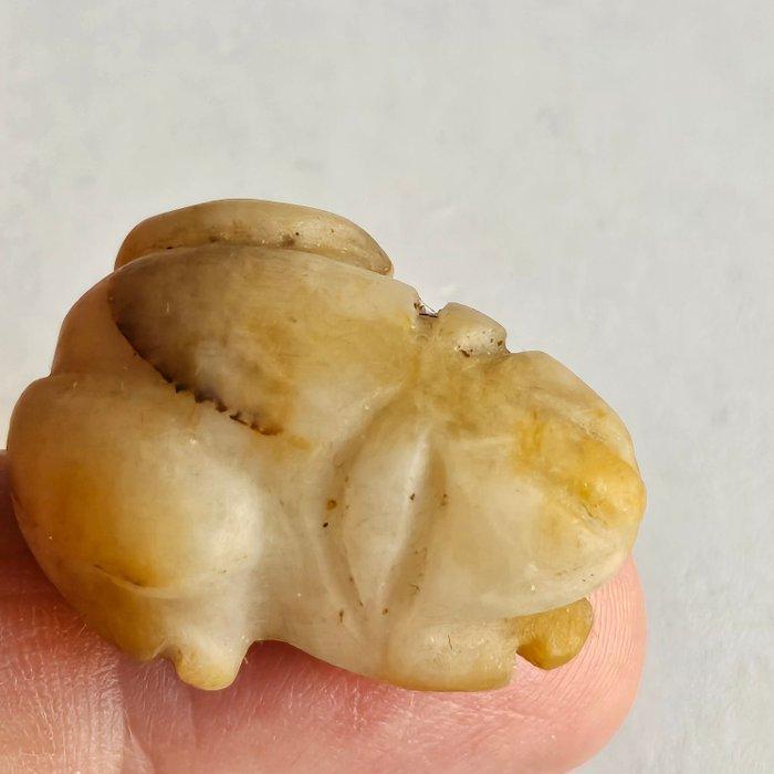 Sino-Mongools of Bactrees Marmer XXS Kikker Kraal Talismans, Antiek en Kunst, Antiek | Overige Antiek