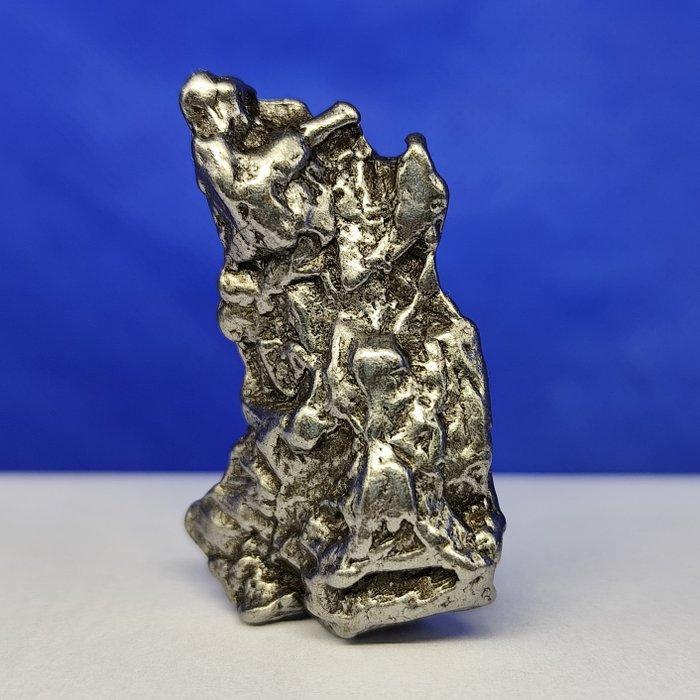 Authentieke IJZEREN METEORIET. Sculpturale CAMPO DEL CIELO, Verzamelen, Mineralen en Fossielen