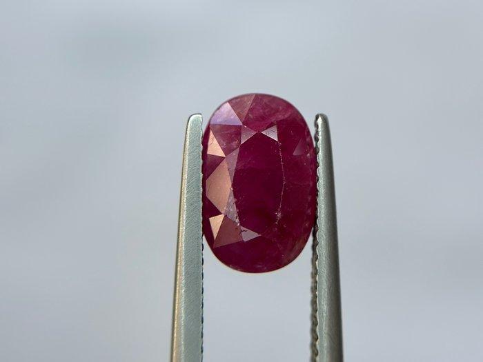 Zonder Minimumprijs - 1 pcs Rood Robijn - 3.68 ct -, Handtassen en Accessoires, Edelstenen