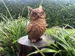 sculptuur, Uil - Oehoe - 17 cm - Gietijzer