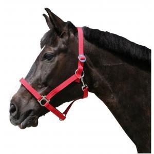 Licol nylon classic noir taille 2, Dieren en Toebehoren, Paarden en Pony's | Overige Paardenspullen