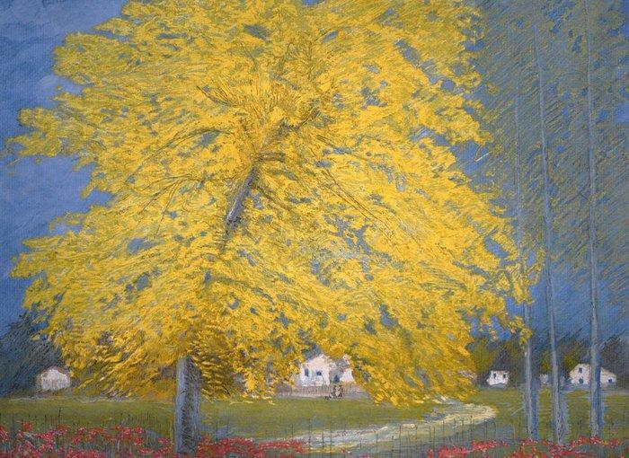 Michele Cascella (1892-1989) - California, Antiek en Kunst, Antiek | Overige Antiek