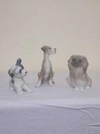 Lladró, Fulgencio Garcia - Figurine - Perros: Piquines,