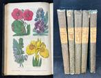 Joseph Harrison - The Floricultural Cabinet & Florists, Antiek en Kunst